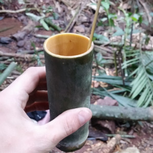 Laos - jungle coffee